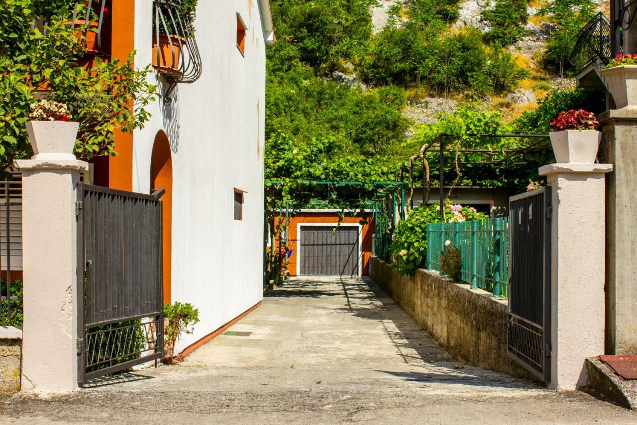 Apartments Rustic Kotor Kültér fotó